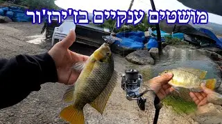 יום גשום כבר סוף עונה. דיג מושטים ענקיים בז'ירז'ור ביום חורפי וגשום .