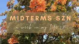 senior series | a week of studying