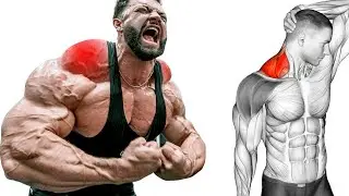 Best Trapezius Exercises for You - AZ GYM