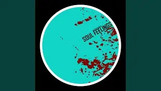 Soul Feelings (Original Mix)