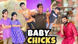 Arham and Golu Got Baby Chicks 🥰 Both Girls Were Angry But Why ?? 😜