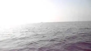 MOV00677