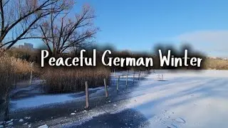 Cozy Winter Reading Companion | Cami&rsquo;s Journey in Love by Logic with Vivaldi&rsquo;s Winter 🎶❄️