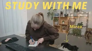 2 HOURS Study With Me 💛 Deep Focus Pomodoro 50/10🦾 WE CAN DO THIS!