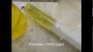 Forever Freedom international или отрицательные отзывы FFi