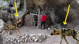 Building a trench on the river and wild dog trail. Survival camping in bushcraft, nature 🐶