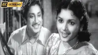 என்ன என்ன இன்பமே பாடல் | Enna Enna Inbame song | A. M. Rajah & Jikki | Anbu .