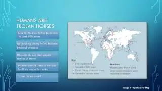 Globalization & Pandemics