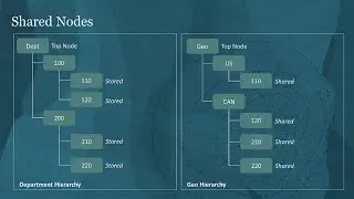 Shared Nodes in Enterprise Data Management