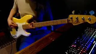 Peach Pit - Drop The Guillotine (Bass Cover)
