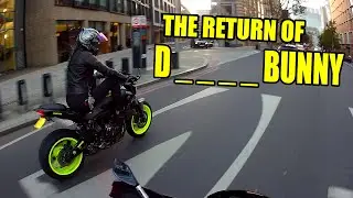 The Return of D____BUNNY - Random Encounters