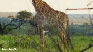 FLYING OVER KENYA