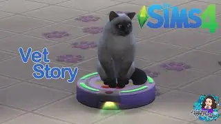 A Quiet Life at the Vet Clinic | Sims 4 Story Gameplay