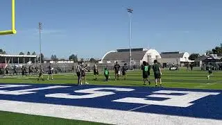 Mustangs Game II