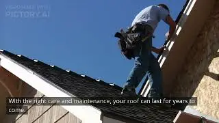 Roof Cleaning 101: What You Need to Know