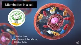Microbodies in a cell. #cell #microbodies