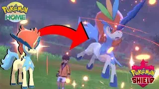 HOW TO CHANGE KELDEO'S FORM in Pok&eacute;mon Sword & Shield! + SHINY GMAX TOXTRICITY GIVEAWAY!