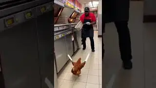 Dual-Wielding Chicken vs The Shift Leader