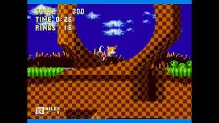 Sonic.EXE Mega Drive - Sonic Hack Walkthrough