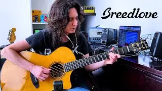 Breedlove Performer Pro Concerto - Tatiana Pará