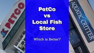 PetCo vs. My Local Fish Store (Aquatic Critter) - WHO WON???