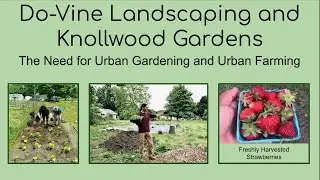 C.J. Pratt: The Need for Creative Urban Farming Design