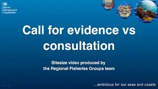 Call for evidence vs consultation