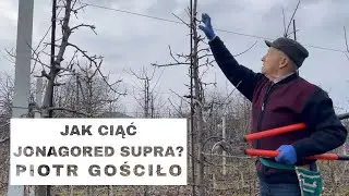 #62 Jak ciąć Jonagored Supra? odc. 7 - Komunikat Sadowniczy Piotr Gościło