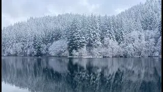 In Perfect Silence