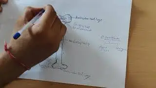 Gross structure of bone in detail | Musculoskeletal system | Hindi. #anatomy