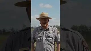 Bridging Art and Nature: Insights from Ranger Daniel Blankenship