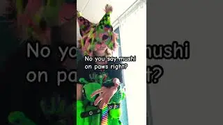 I named it- #youtubename #furry #therian #scene #kandikid #alterhuman #kandibeads #lol  #mushionpaws