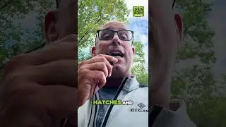 Секреты разведения червей, о которых вы никогда не знали!