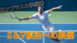 【テニス戦術】ゴリ押しサーブ&ボレー　クレッシーのテニス　M.クレッシーvs G.ディミトロフ