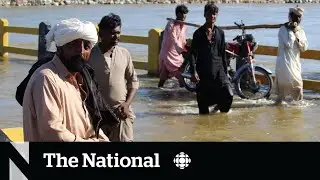 New calls for Pakistan relief aid amidst disease outbreaks