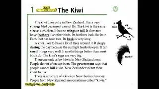 Unit 1: Lesson 1: THE KIWI (Facts & Figures) By Ven. LONG Sokea #Facts&Figures #englishpractice