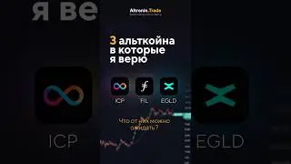 Три монеты которые я удерживаю до следующего альтсезона! #icp #fil #egld.