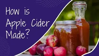 How is Apple Cider Made?