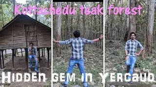 Kottachedu teak forest | hidden gem of Yercaud | yercaud - 9| m2knp views | Ponvannan Vlogs |PV