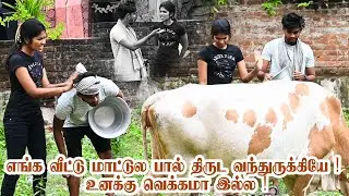 COW MILK COMEDY SARMESH ROSHNI | NAGAI 360 HEAD | TAMIL COMEDY ....