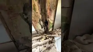 Professional Plumber Fixing Wall Pipe Leak #fok #plumbertools #plumber