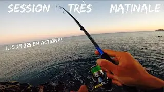 P&Ecirc;CHE en BORD de MER 2020 : SESSION ( TR&Egrave;S ) MATINALE