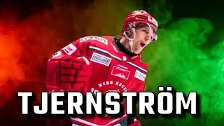 Max Tjernstr&ouml;m l&auml;gger ner karri&auml;ren