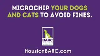 Приют для животных и усыновление животных BARC в Хьюстоне