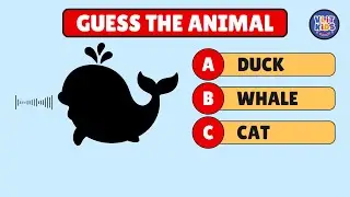 Animals for Toddlers 003 | English Vocabulary for Kids