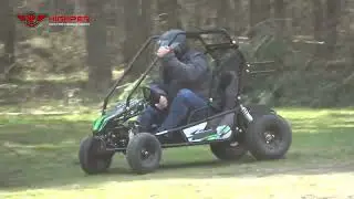 Highper 1000W Brushless Electric Go Kart Cross Buggy with two seats
