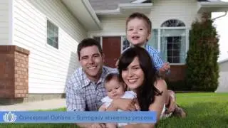 Surrogacy and the Surrogate Screening Process