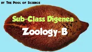 B.Sc,ADP,B.S ZoologyB | Sub-Class Digenea by The Pool of Science
