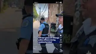 ICE uses teargas against Chicago PD