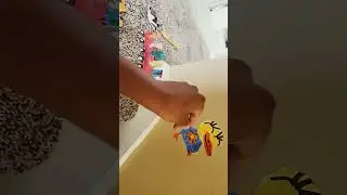 the slide counting to 5